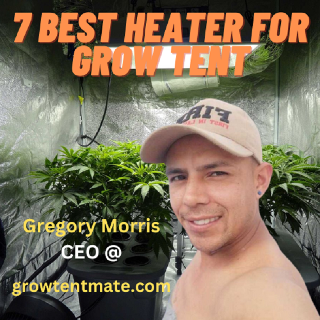 Best heater for grow tent